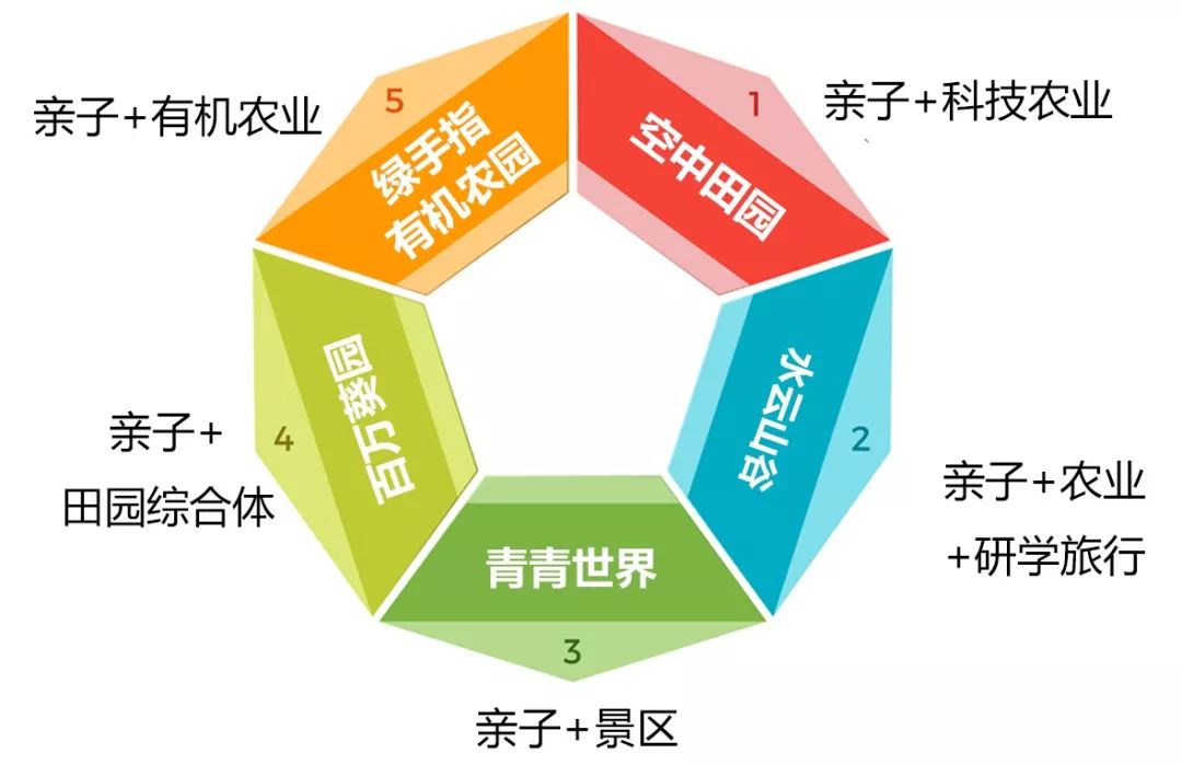 亲子项目行业深度解析