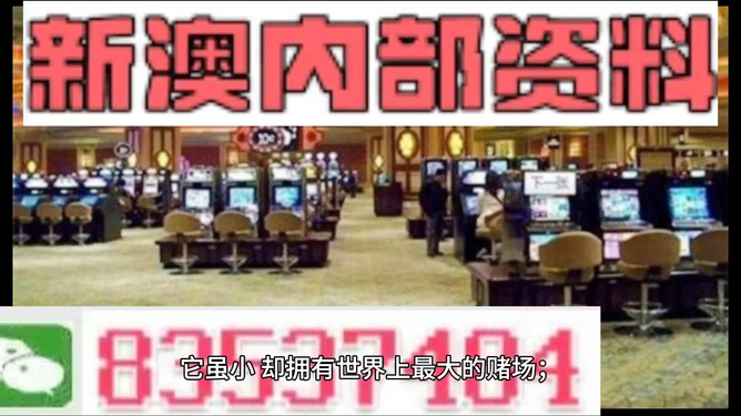 SEO师如何把握新澳正版资料更新机遇，迈向卓越之路