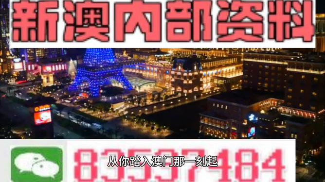 新澳2024年正版资料深度解析，SEO师实战指南