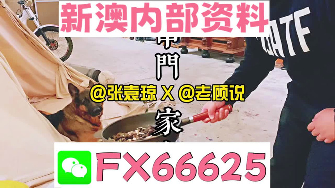 新澳门管家婆一句,决策资料解释落实_储蓄版8.675