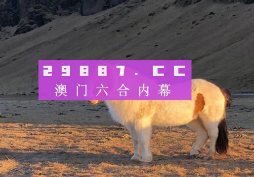 澳门彩,决策资料解释落实_储蓄版8.678