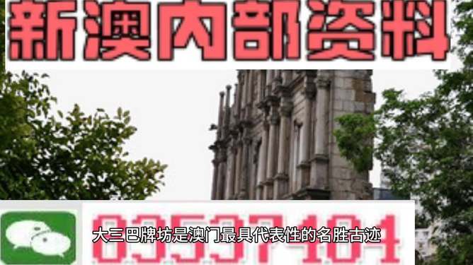 新澳门内部一码精准公开,效率资料解释落实_精英版9.369