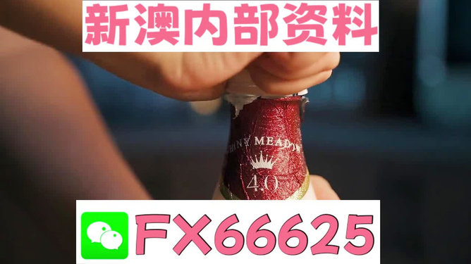 新澳门一码一码100准确,综合解答解释落实_优选版75.19.25