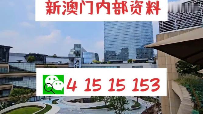 澳门新三码必中一精准,效率资料解释落实_精英版9.368