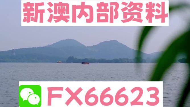 2024新澳资料大全免费,决策资料解释落实_储蓄版8.677