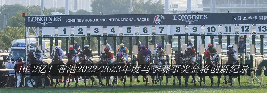 2024香港今期开奖号码马会，效率资料解释落实_精英版9.398