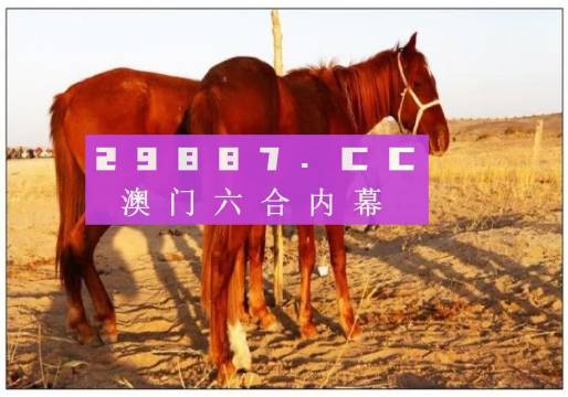 澳门六开彩最新开奖号码，最新答案解释落实_免费版2.93