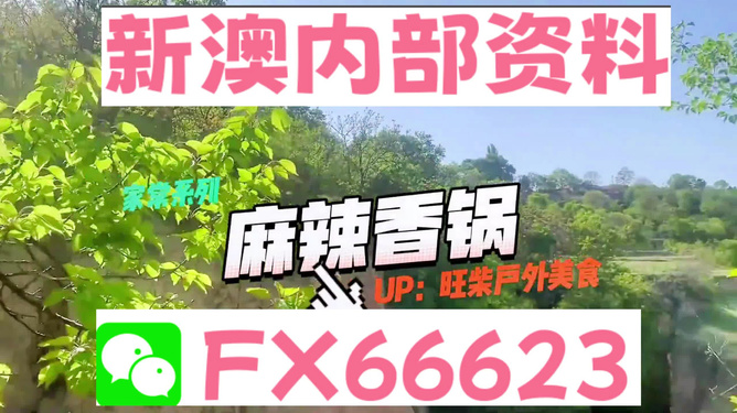 新澳精准资料免费提供,数据资料解释落实_探索版7.379