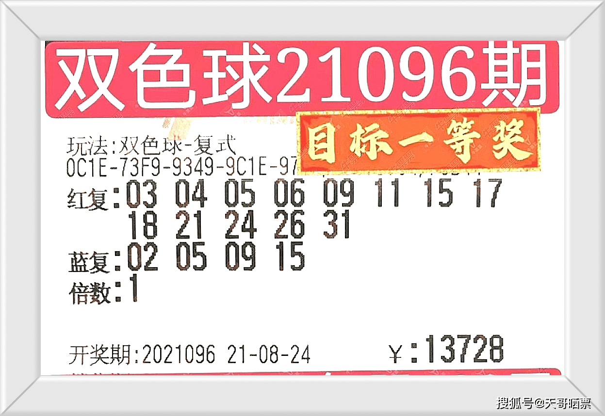 2024澳门今晚开奖号码,最新核心解答落实_社交版9.576