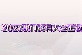 2023澳门资料大全正版资料免费,行家解答解释落实_历史版82.90.36