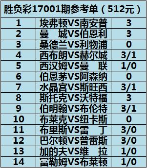 新奥彩王中王免费资料,收益分析说明_15.894