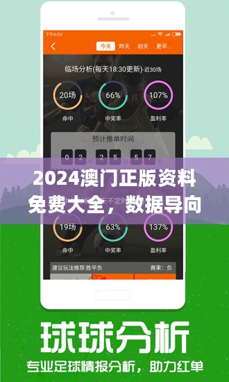 2024年新澳门免费资料,效率资料解释落实_精英版4.347