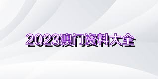 2023澳门资料大全正版,科技成语分析落实_界面版9.477