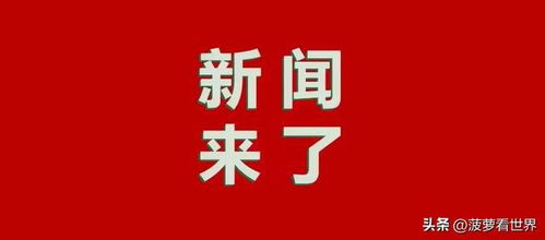 2024新奥今晚开什么号,效率资料解释落实_精英版4.342