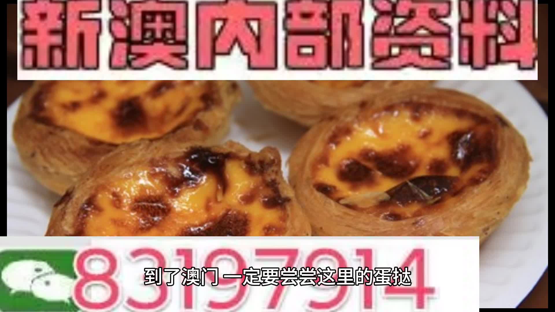 2024新奥门资料大全,决策资料解释落实_储蓄版2.477