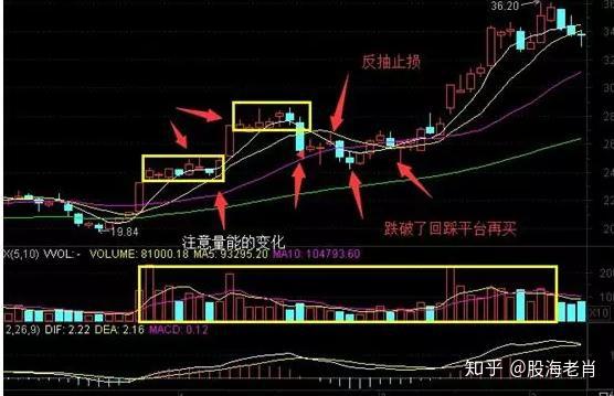 牛市捂股诀窍，深度解析、策略应用与实战指南