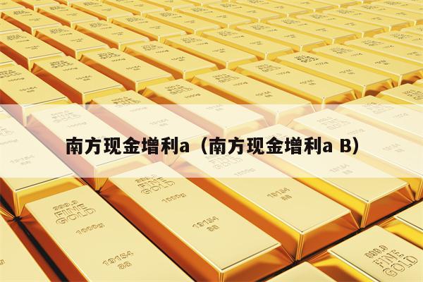 南方现金增利F的安全性深度解析