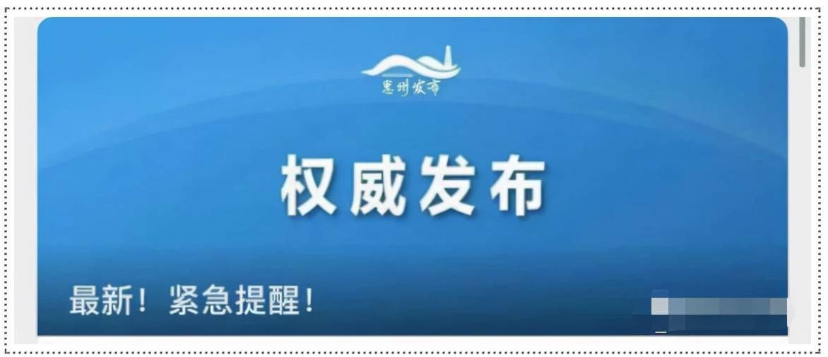 管家婆必中一肖一鸣,效率资料解释落实_精英版9.295