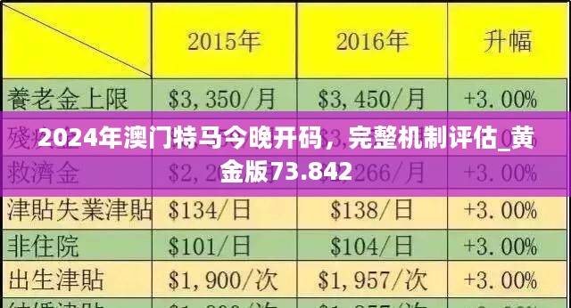 2024年新澳门今晚开什么,效率资料解释落实_精英版9.296