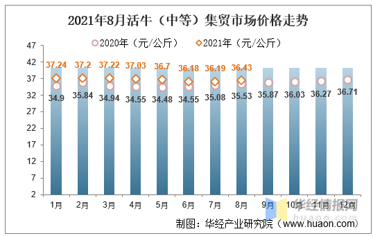 牛的市场行情分析与趋势展望，未来展望及策略建议