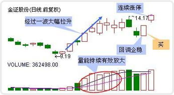 股市技术分析揭秘，股票回调线与拉回策略探讨