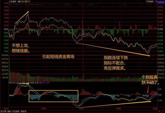 蓝筹股概念深度解读，应用、展望与策略分析