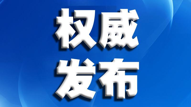 2024年11月13日 第14页