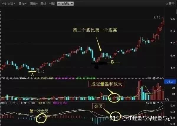 2024年11月14日 第25页