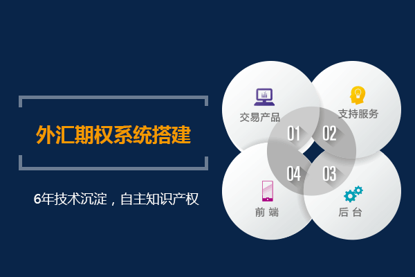 外汇对冲交易系统详解，理解与应用策略指南