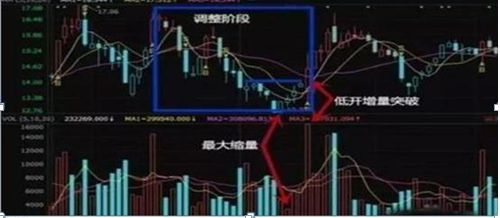 拉萨买入第二天市场走势探究与投资策略探讨