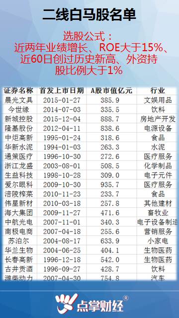 投资精英优选清单，白马股一览表 2024年展望