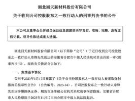 资本市场监管警钟敲响，A股龙头原董事长八年刑期及一点五亿元罚款揭示的警示故事