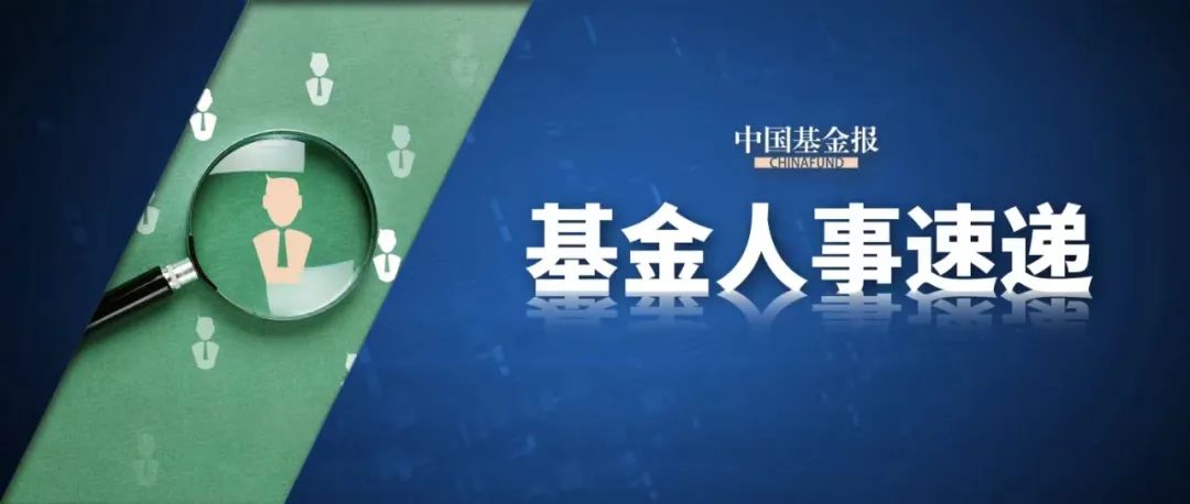 公募巨头董事长变动揭秘，行业变革中的领导力重塑