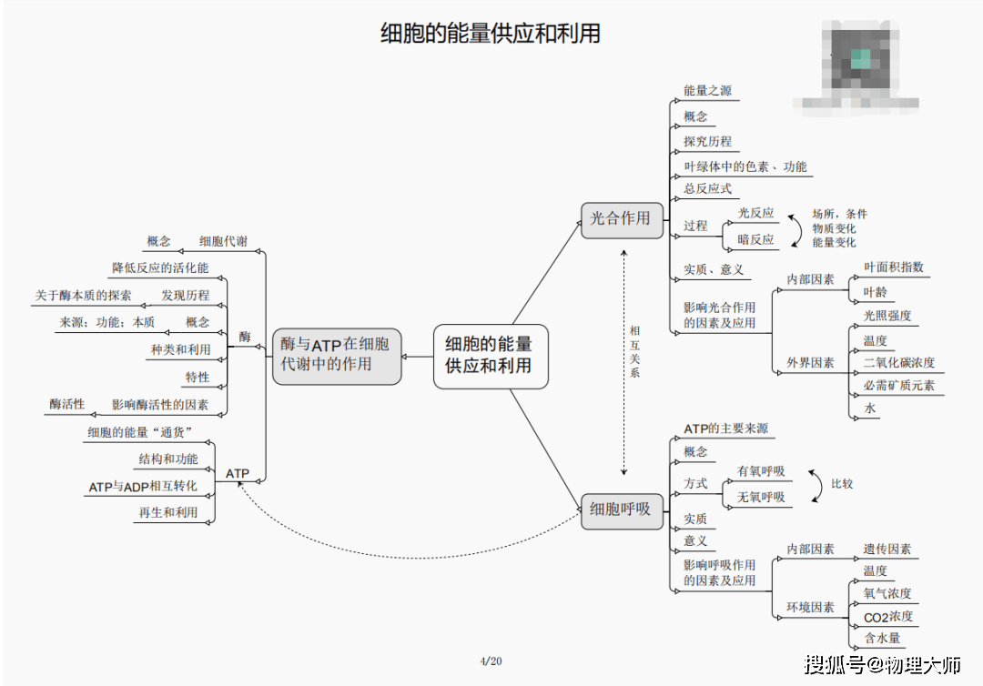 三肖必中三期必出资料