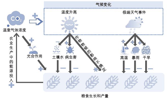 气候变化对农业生产稳定与粮食安全带来的挑战焦点