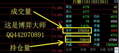 外汇持仓量的深度解读与理解策略