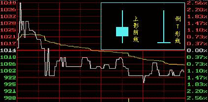 顶部与底部，定义、意义及在各领域的应用探讨