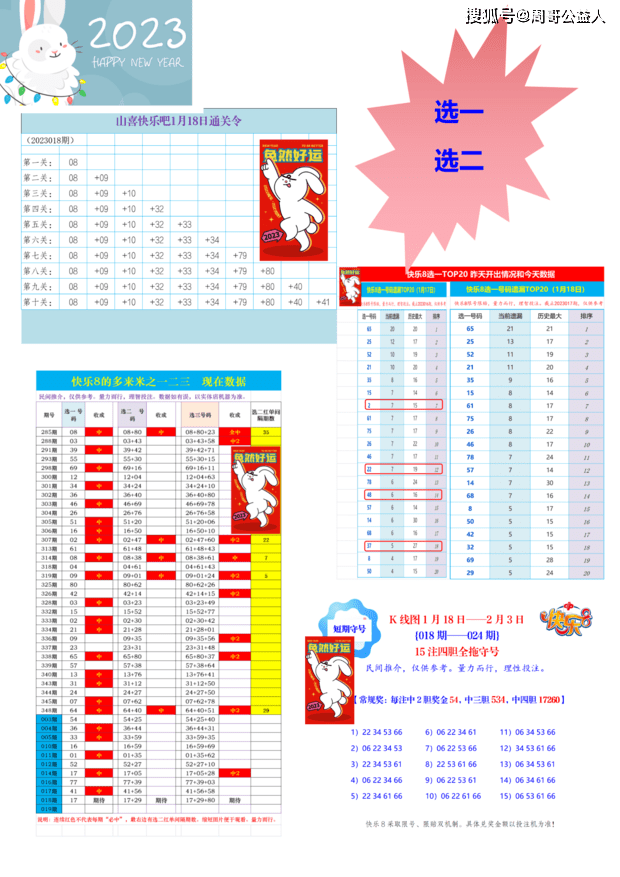 揭秘快乐8预测，探寻最准确一注的神秘面纱揭秘！