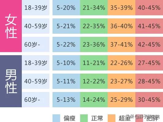 揭秘BMI，定义、计算方法及作用解析