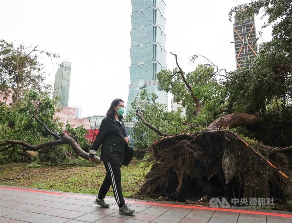 康妮台风重创台湾桃园农业，挑战与重建之路