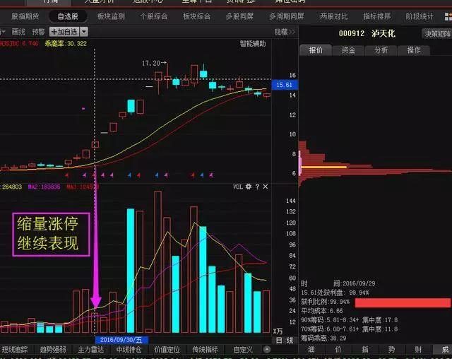 股票投资的策略、分析与风险管理，走向成功的投资之路