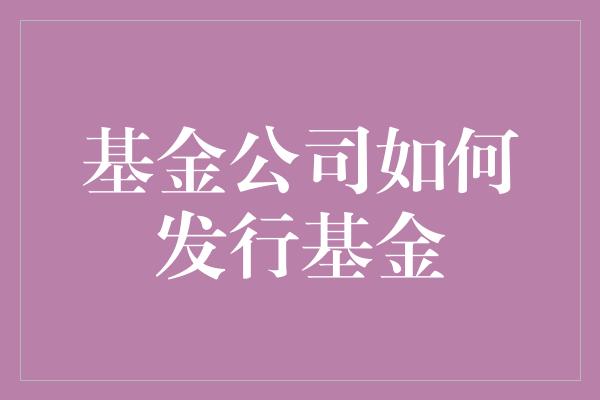 基金发行全流程解析，策略、流程与关键因素探讨