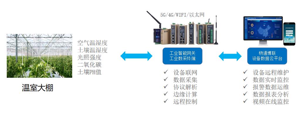 自动化与物联网如何革新现代农业生产模式