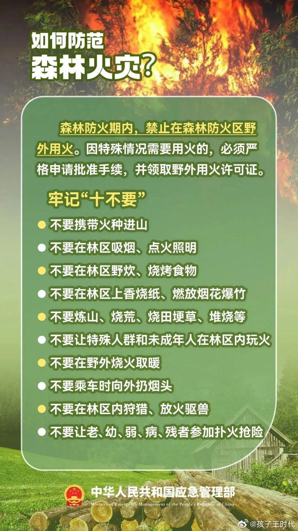 森林火灾频发背后的原因及应对策略