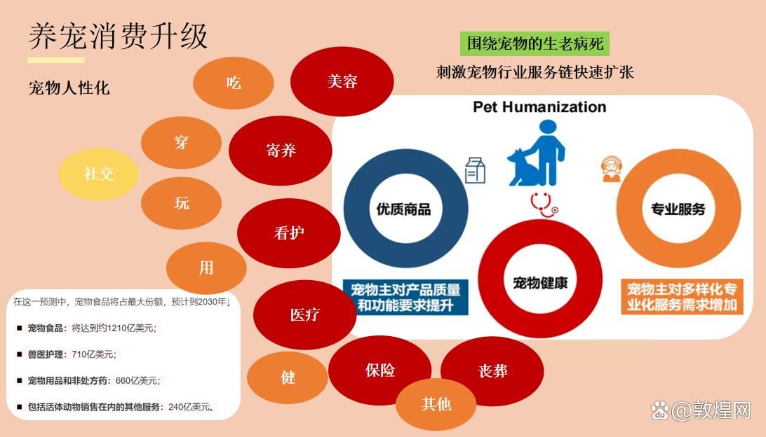 家庭宠物市场蓬勃发展，宠物经济迎来全新机遇