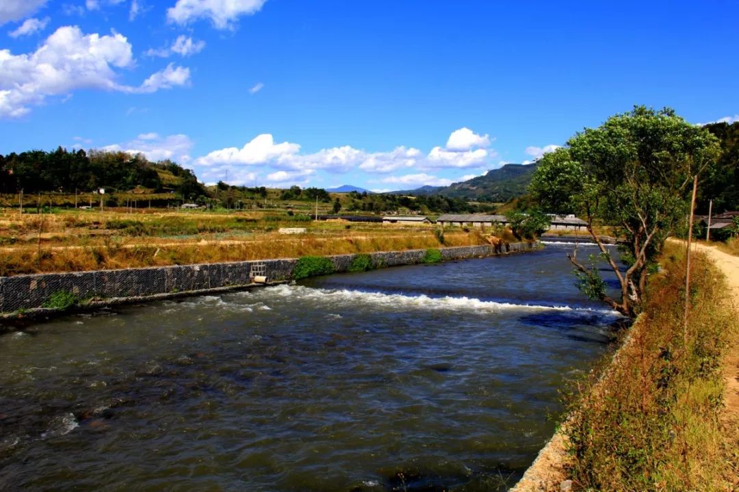 多地水环境治理优化，河流生态显著改善