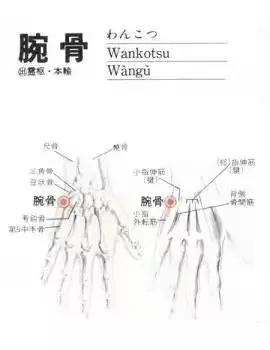 中医治疗头痛的常见方法简述