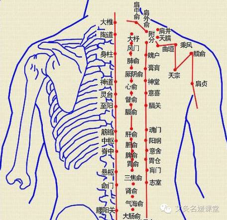 中医艾灸疗法缓解背部疼痛技巧