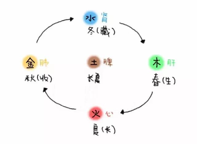 节气转换养生法，调整不适症状的秘诀