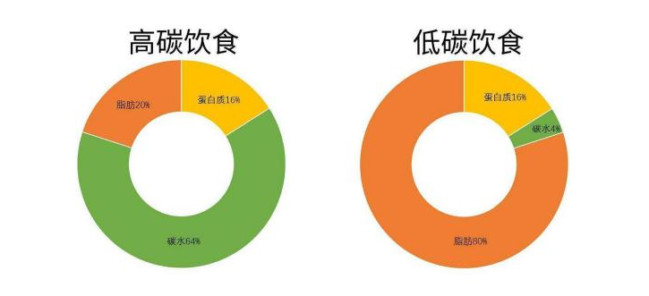 健康饮食助力减少碳足迹，打造绿色生活新篇章